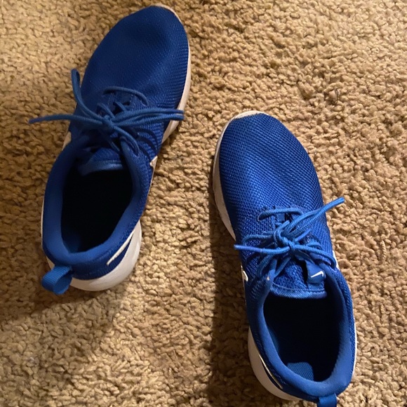 all blue roshes